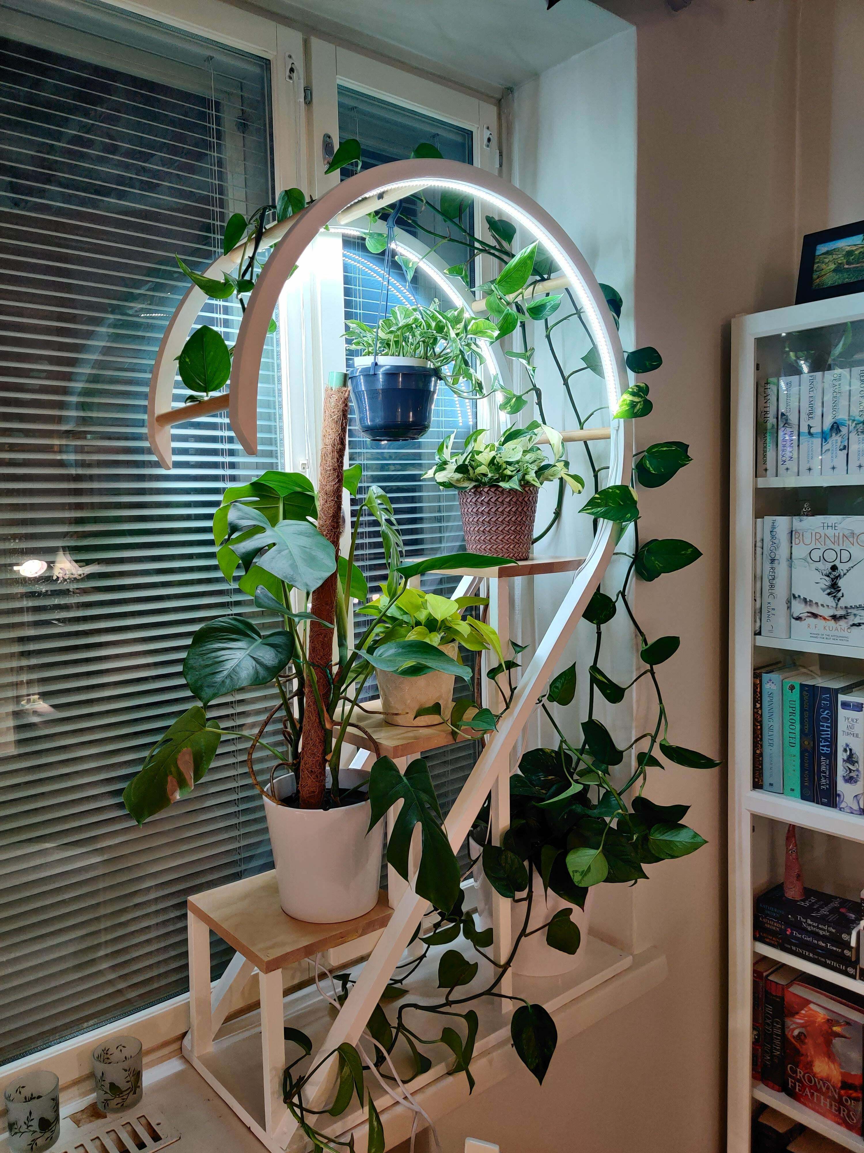 Une étagère à plantes que j'ai fabriquée pour ma copine