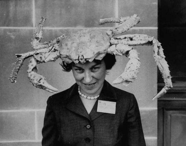 une femme portant un chapeau en forme de crabe à la convention de la ligue des femmes électrices en 1958. photo de robert w. kelley