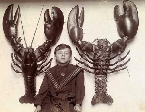 un garçon entre deux homards montés pêchés au large de la côte du new jersey. cette photo a été prise en 1916.