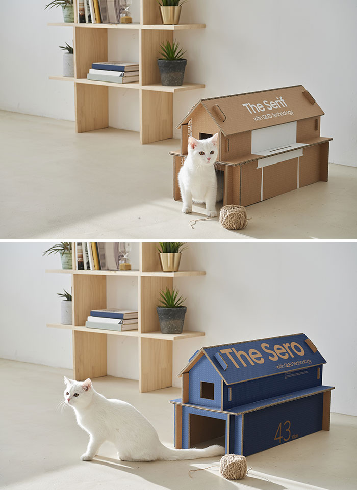 samsung a redessiné ses boîtiers tv pour qu’ils puissent être recyclés en maison pour chats