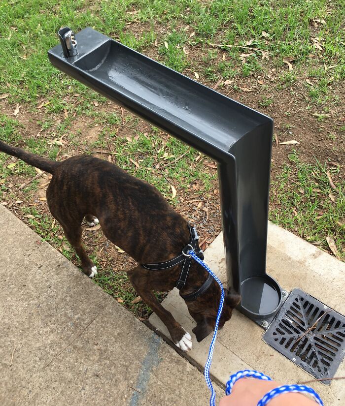 Lorsque tu bois dans ce barboteur, l’excédent d’eau coule dans un bol pour ton chien.