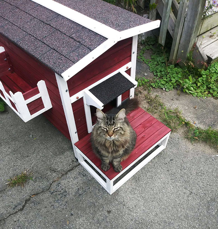 Ma femme a commencé à nourrir un chat errant, mais je suis allergique et nous ne pouvons pas l’emmener chez nous. J’ai construit sa propre maison à la place. Elle est isolée et a un chauffage électrique.