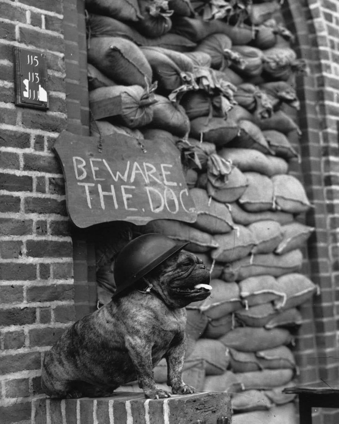 Un bulldog casqué protège une famille devant un immeuble pendant le blitz. Cette photo a été prise le 15 octobre 1940.