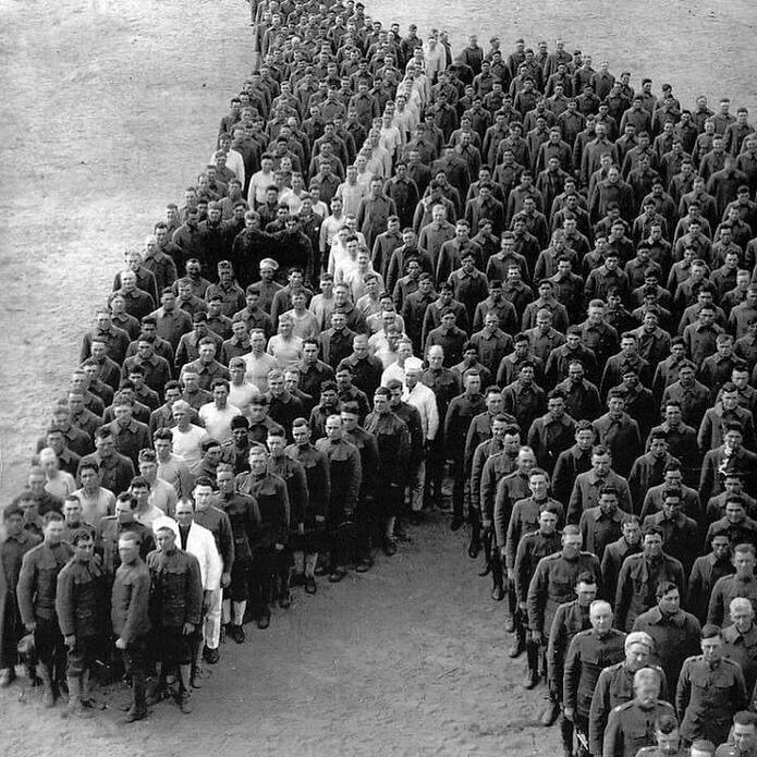 Des soldats de la première guerre mondiale rendent hommage aux millions d’ânes, de chevaux et de mules qui sont morts pendant la guerre.