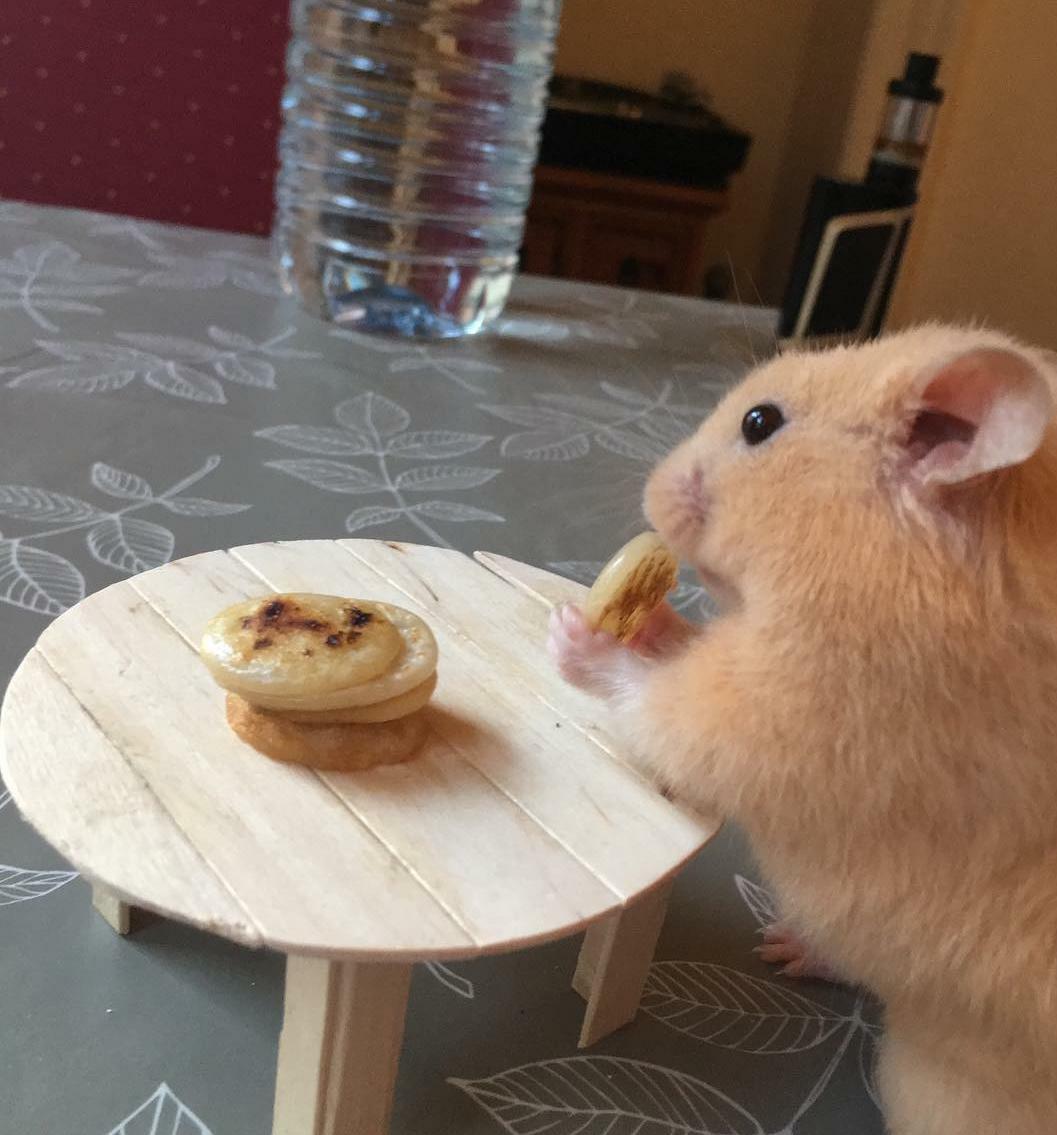 j’ai fait des crêpes minuscules et une table minuscule pour mon petit copain