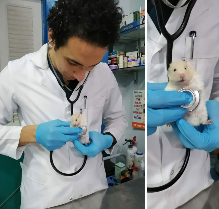 hammie va faire un check-up