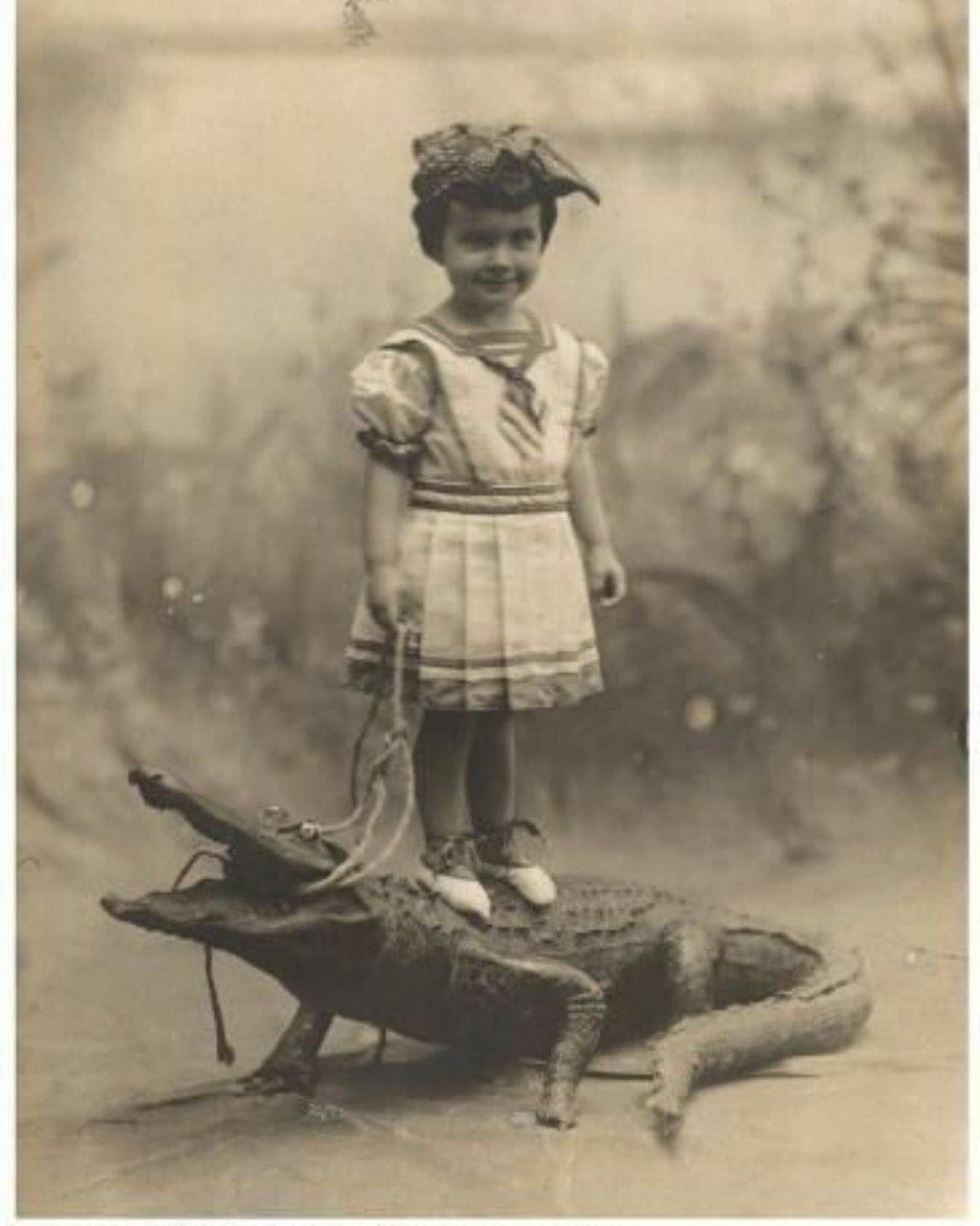dallas mercier conklin debout sur un alligator empaillé, 1908