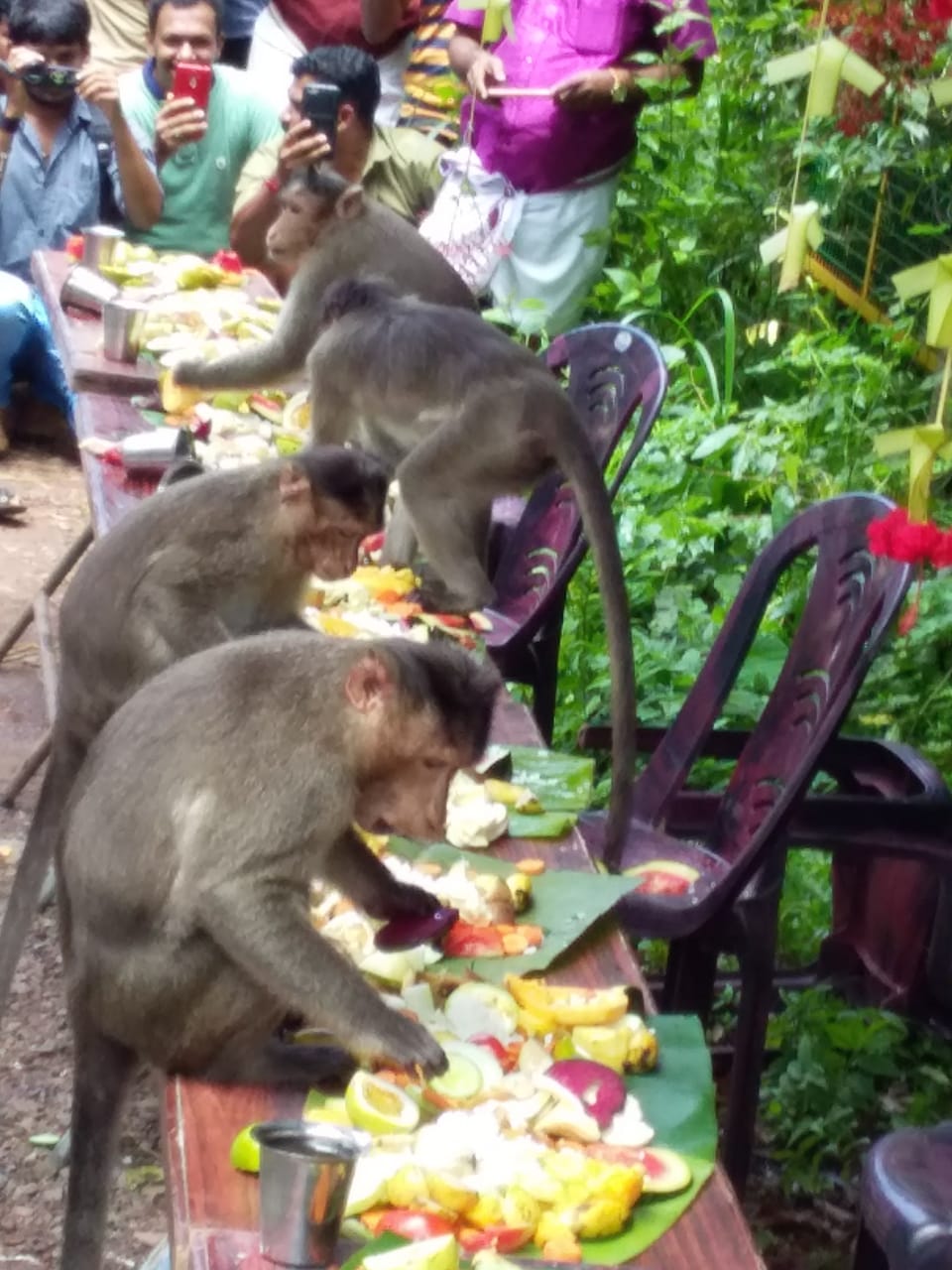 À Lopburi, en Thaïlande, les habitants préparent un festin annuel pour les singes locaux.
