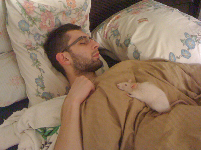 willow, mon rat de compagnie, n’a plus que quelques jours à vivre. je ne lui refuserai pas ce privilège