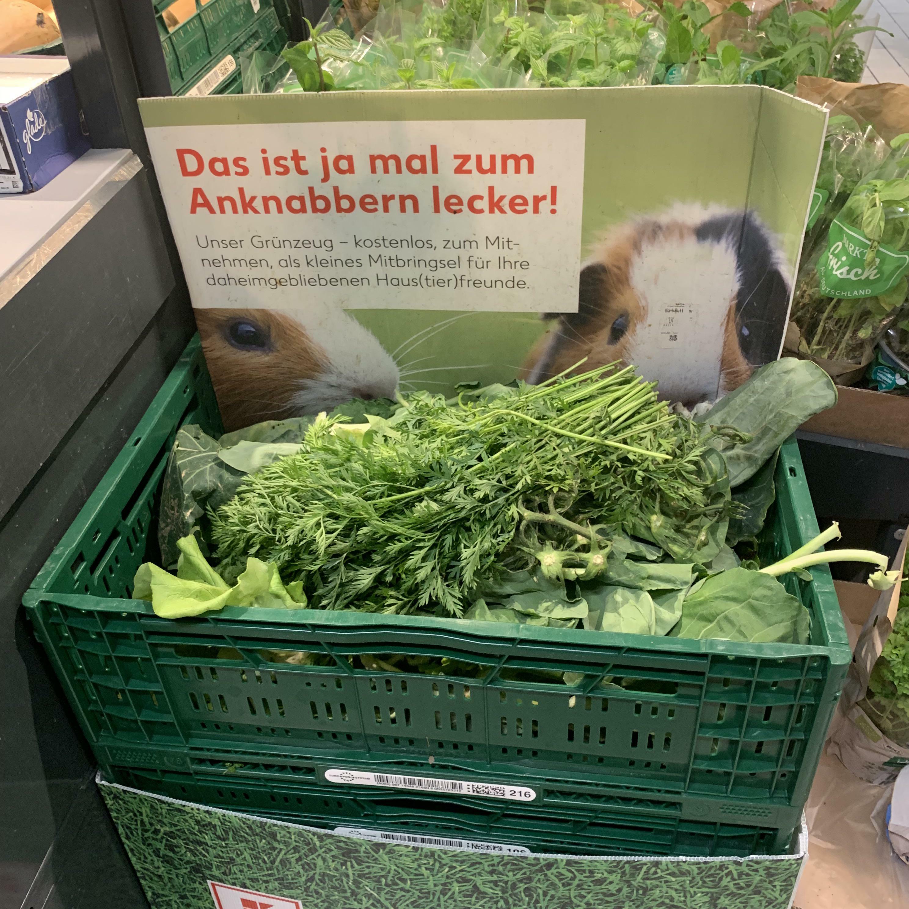 des feuilles de légumes gratuites pour les animaux de compagnie dans le rayon des fruits et légumes de mon supermarché local