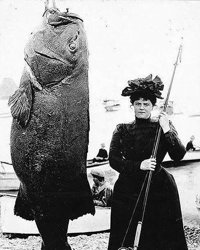 Mme e. n. dickerson de nyc (à droite), bien habillée, pose à côté du bar noir de 363 livres qu’elle a attrapé au large des côtes de new york en 1901.
