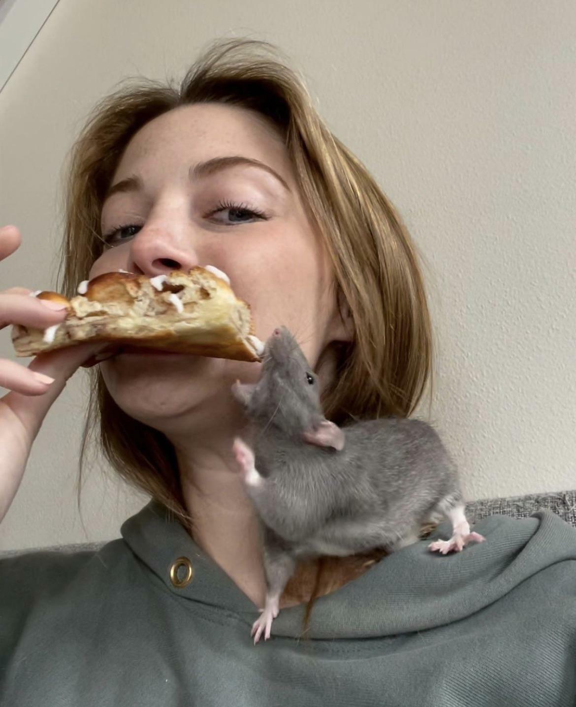 Mon rat fou fou essaie de voler mon rouleau de cannelle