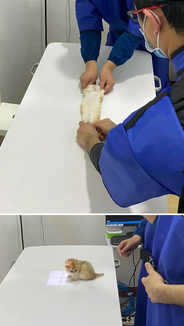 un check-up très smol