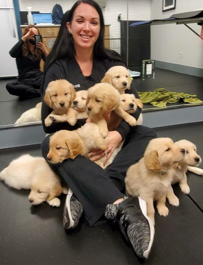 De temps en temps, nous avons l’occasion de jouer avec des chiots.
