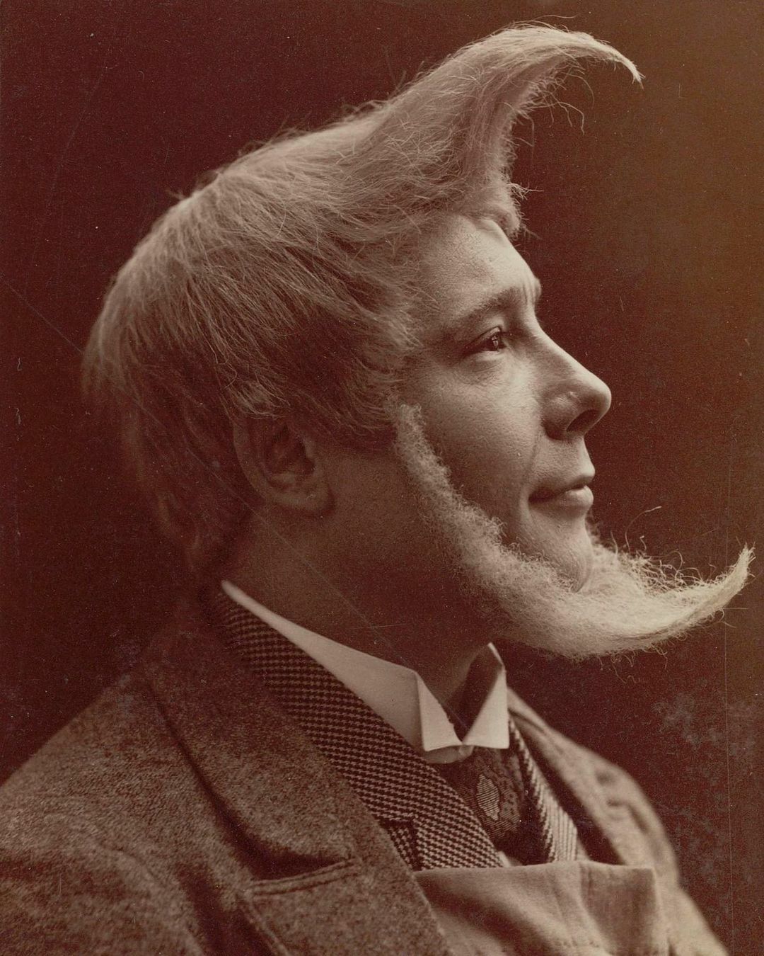 un portrait d’une coiffure intéressante de 1894