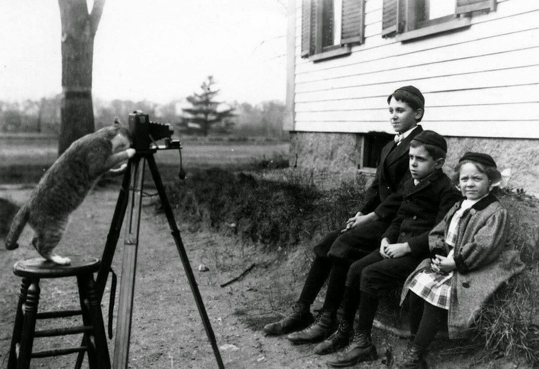 Comment crois-tu que toutes ces photos ont été prises ? 1909