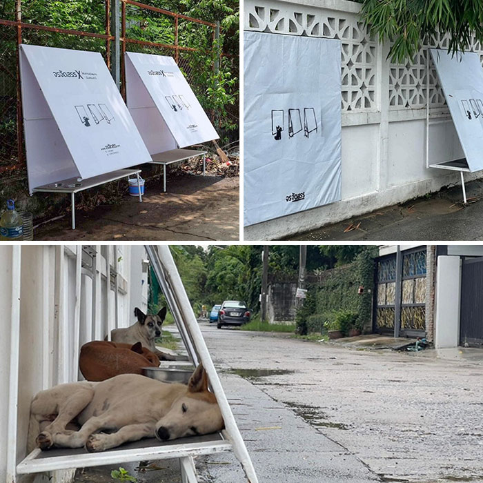 stand for strays thaïlande, a lancé des abris pliables faits de panneaux publicitaires recyclés pour les chiens errants.