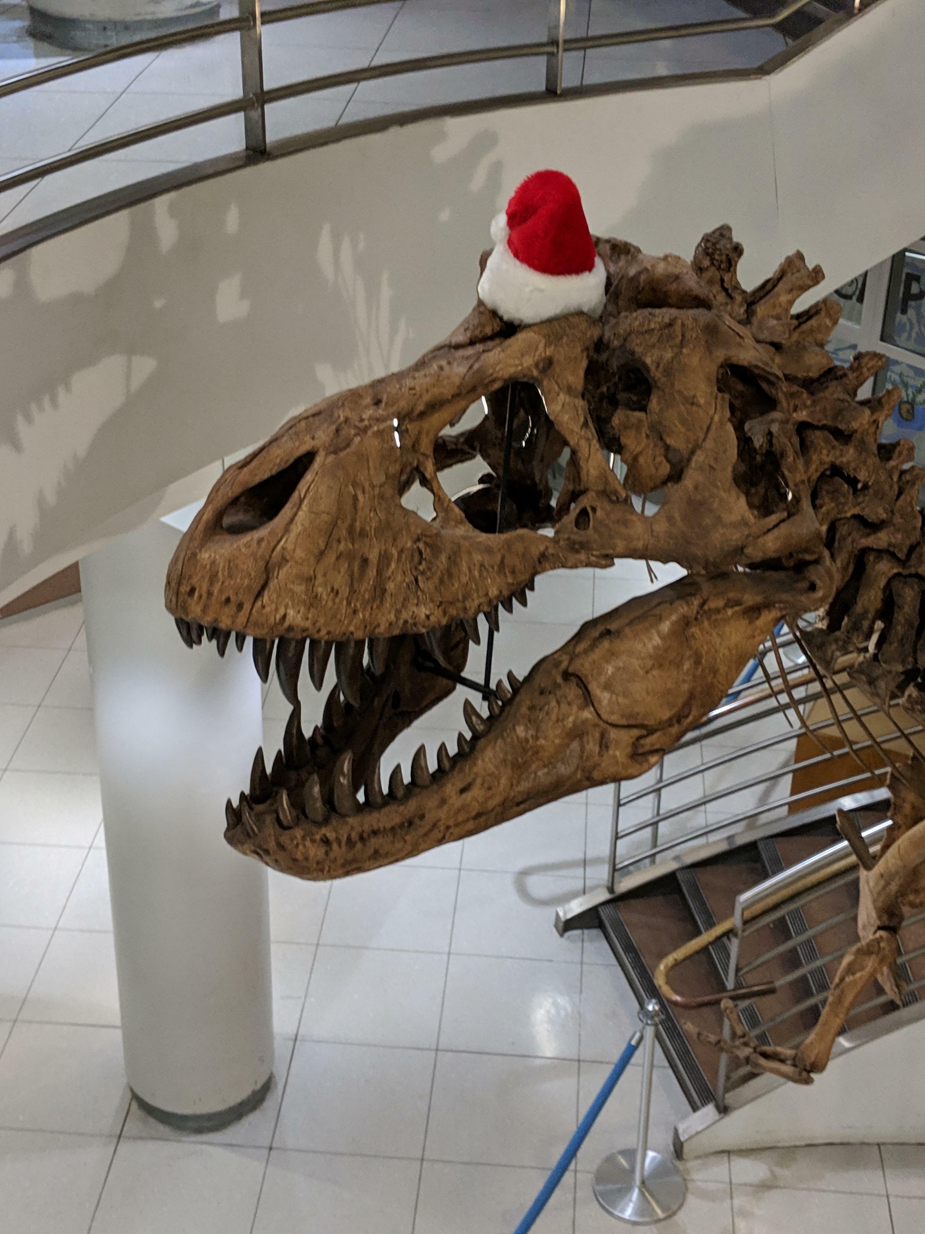 ce chapeau qu'ils ont mis sur le t-rex à mon université pendant les vacances.