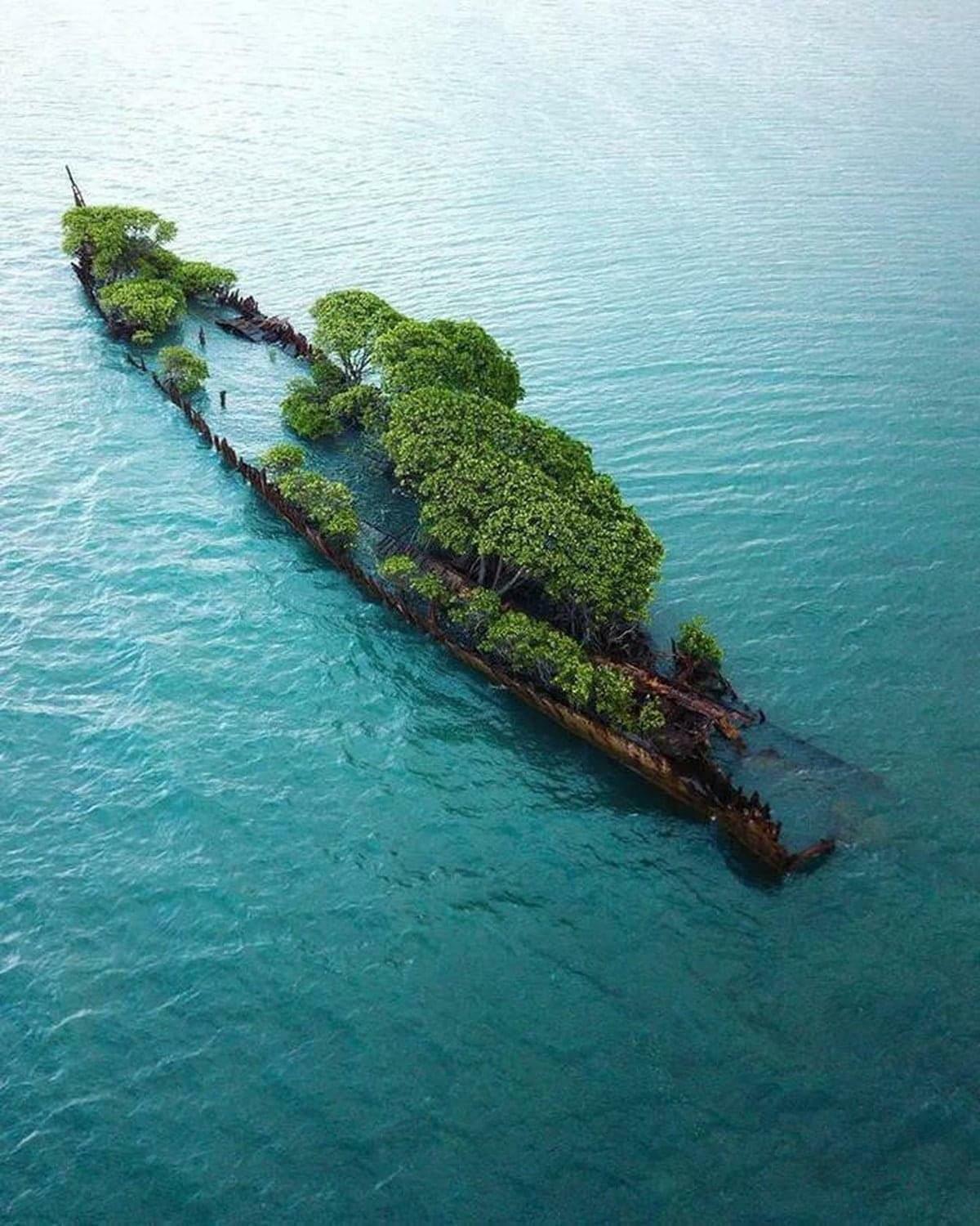 J’ai vu cette photo sur Facebook sur la page des merveilles de la planète Terre. Une épave de bateau récupérée par la mer.