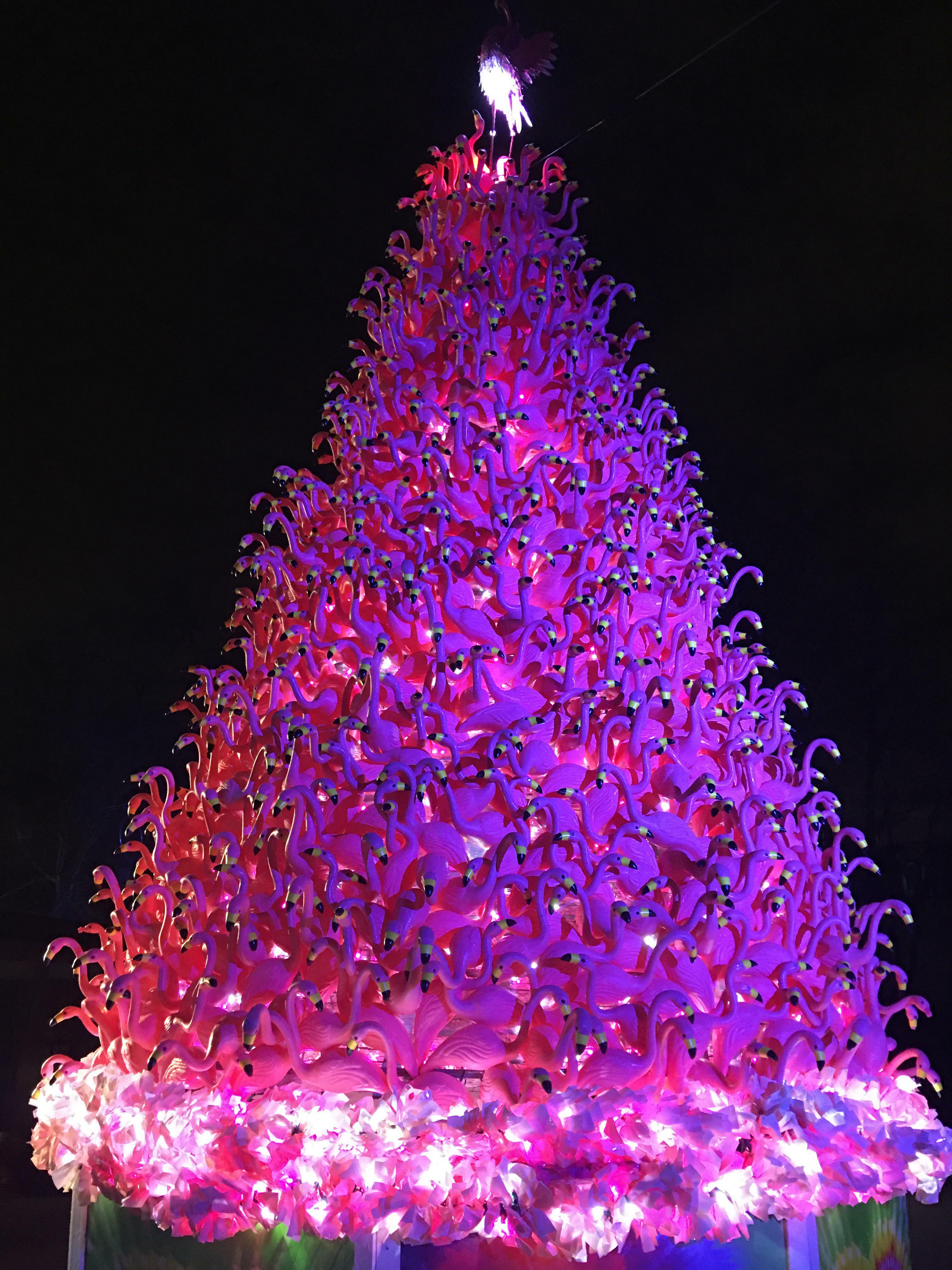 Un arbre de Noël fait de flamants roses à l'exposition de lumières de Noël du zoo de Philadelphie. Joyeux Noël à tous !