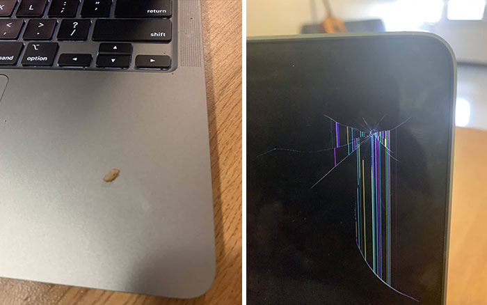 mon ordinateur portable a été tué par un seul grain de riz brun chipotle qui s’est refermé dans l’écran