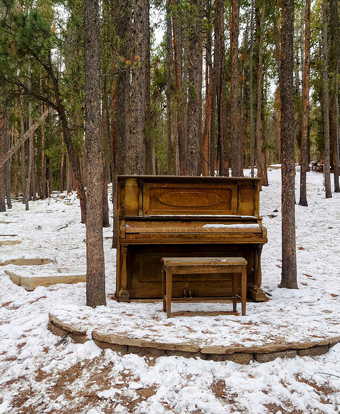 piano dans les bois