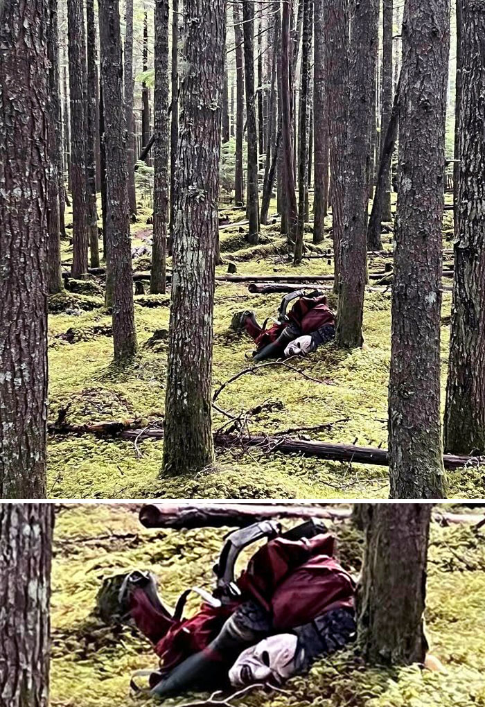 une photo ordinaire de quelques objets perdus dans les bois