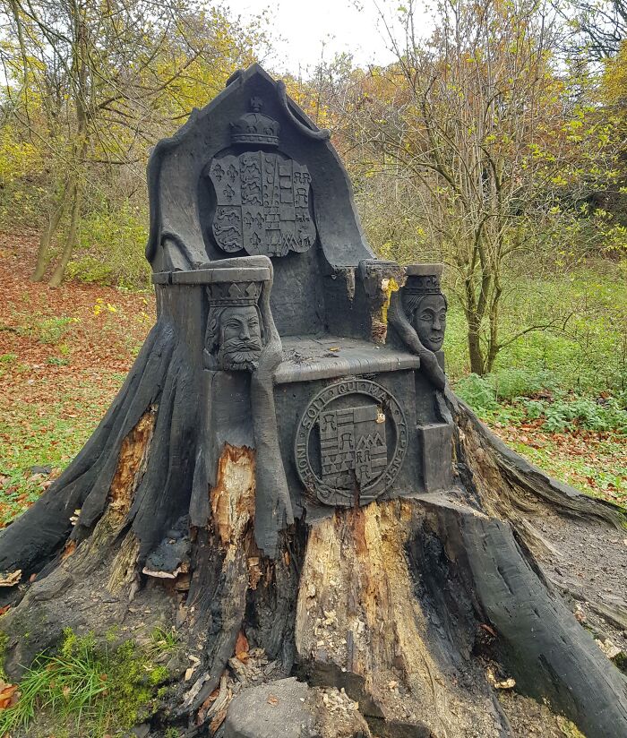 ce trône en bois dans un bois anglais