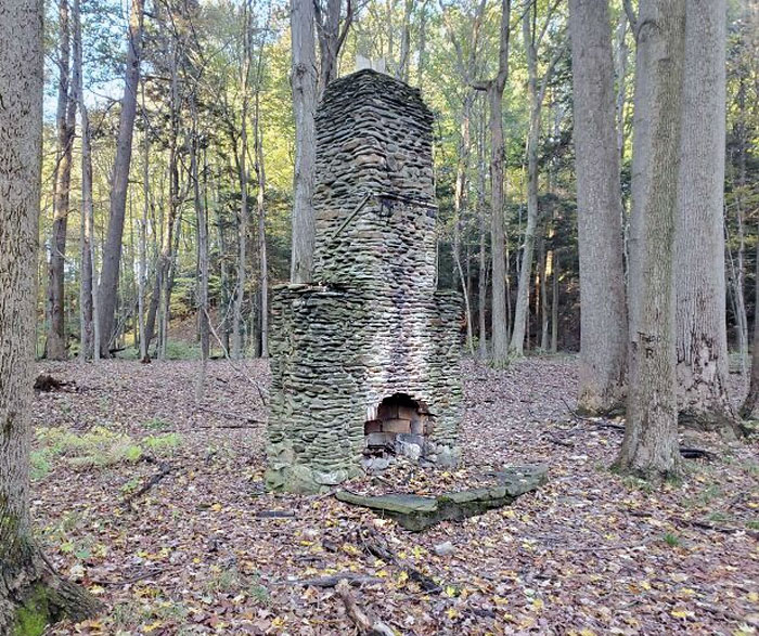 Une vieille cheminée et un foyer au hasard au milieu des bois. Trouvé hors sentier en pêchant dans le nord-ouest de la Pennsylvanie.