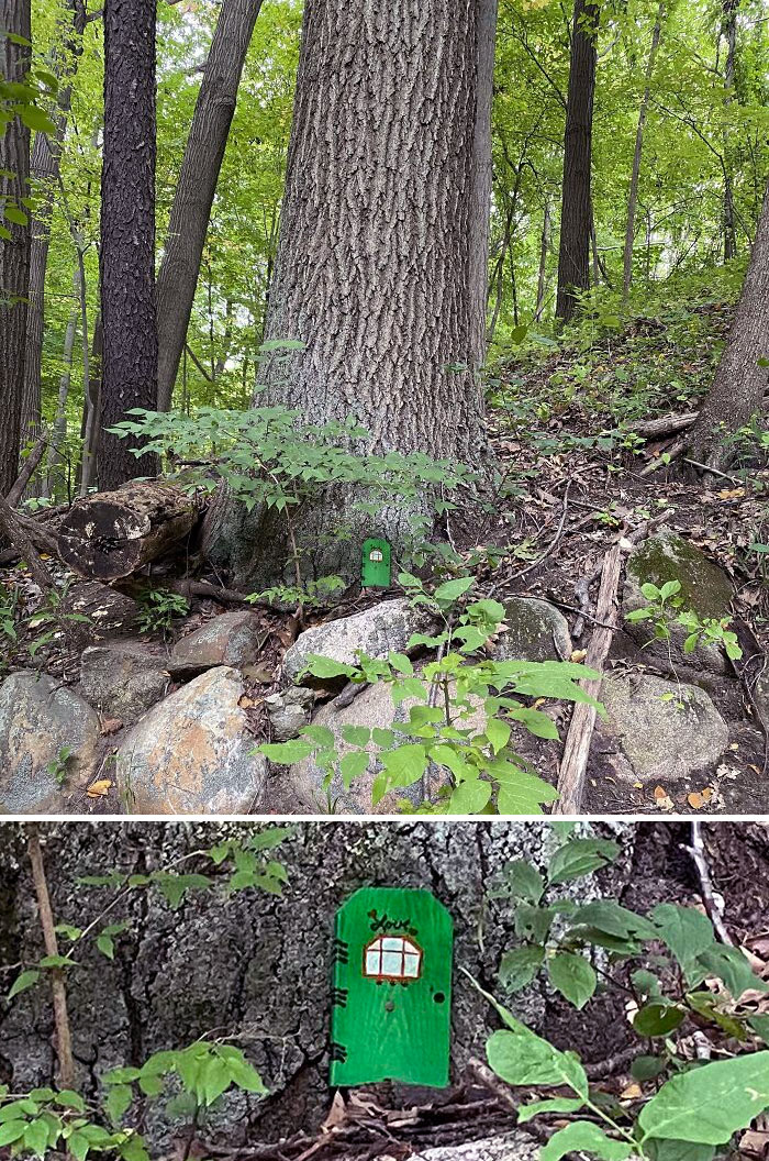 a trouvé une petite porte de fée dans les bois