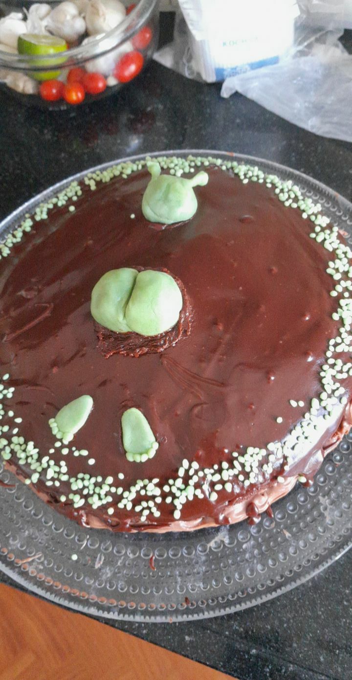 Ma sœur a fait ce gâteau au chocolat pour mon anniversaire. Je ne pouvais pas être plus heureuse.