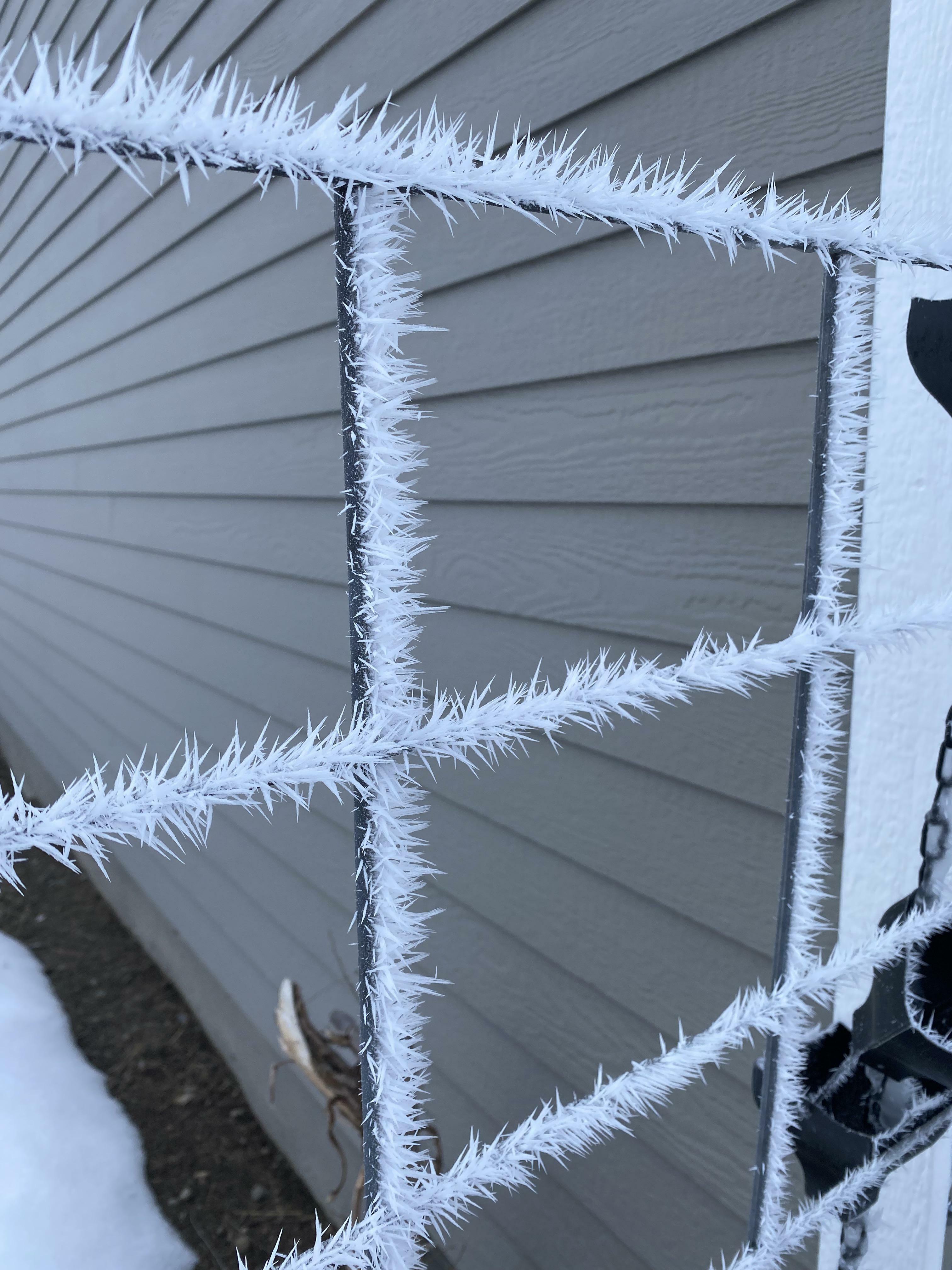 Notre hiver a été particulièrement hivernal cette année ! Je n'ai jamais rien vu de tel auparavant.