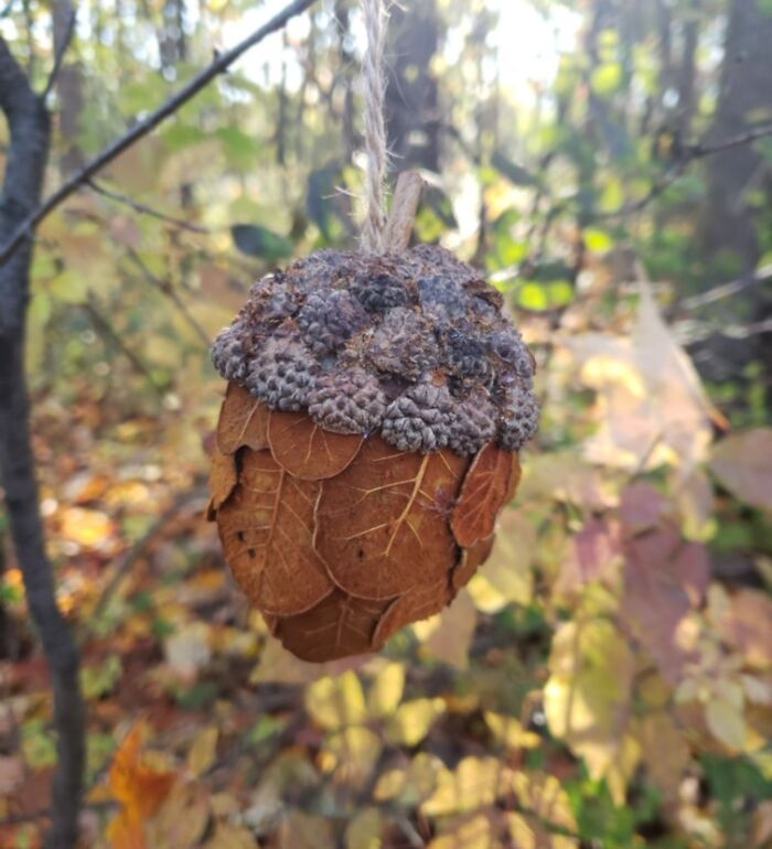 J’ai trouvé un “gland” à base de plantes et fabriqué par l’homme, suspendu au milieu des bois.