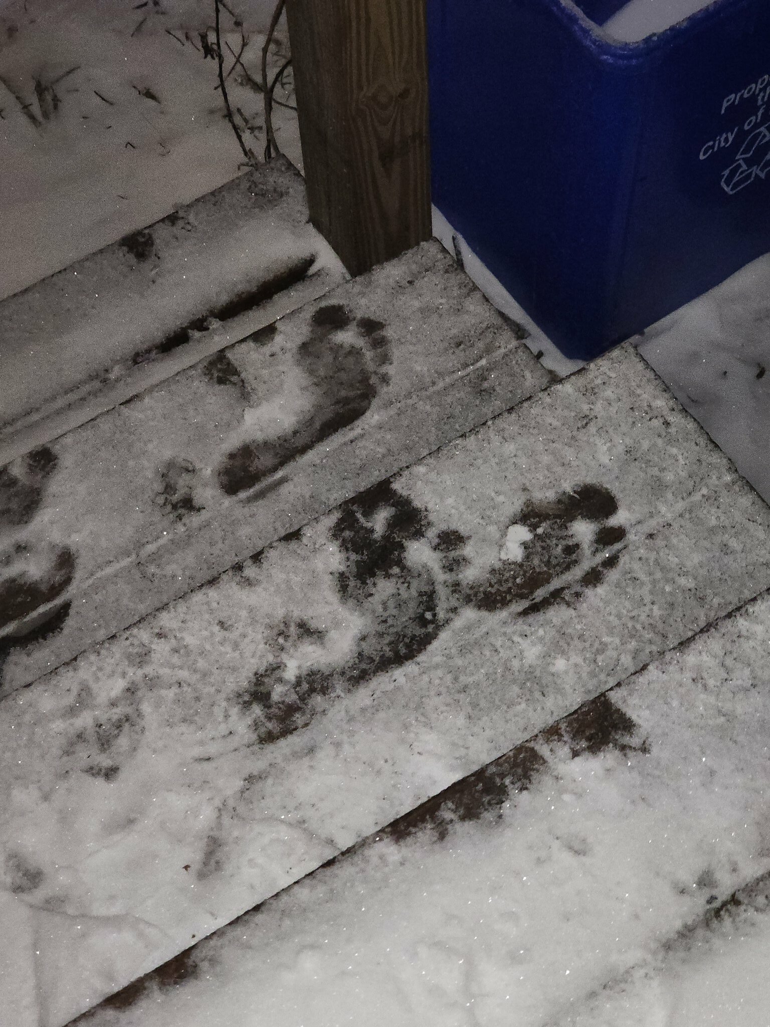 Je sortais les poubelles ce matin et j’ai trouvé des empreintes de pieds nus