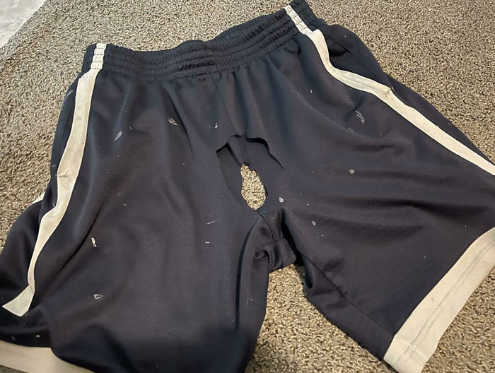 Ma femme n’arrêtait pas de menacer de jeter ma paire préférée de shorts de jardinage. Aujourd’hui, je l’ai trouvée comme ceci