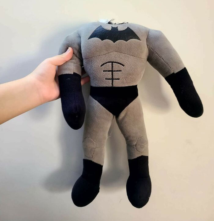 mon grand-père a demandé à mon petit frère s’il pouvait utiliser sa peluche batman pour allumer la chaudière. mon frère a refusé, mais aujourd’hui, nous nous sommes réveillés avec ça.