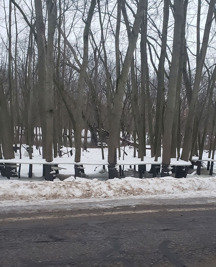 la rivière près de chez moi a débordé, puis a gelé, puis l’eau s’est retirée en laissant ces plateaux de glace planants sur les arbres.