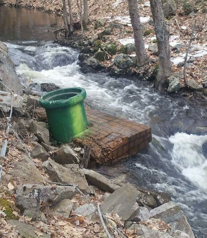 ce tuyau super mario dans les bois du new hampshire