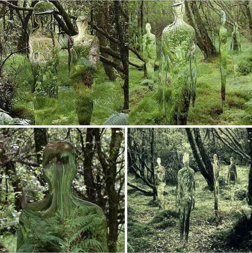 Les sculptures miroir reflètent la forêt de l’artiste écossais rob mulholland