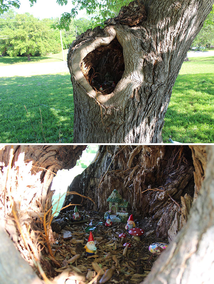 J’ai trouvé un arbre cool dans mon parc local et j’ai pensé qu’il avait besoin d’un peu de magie.