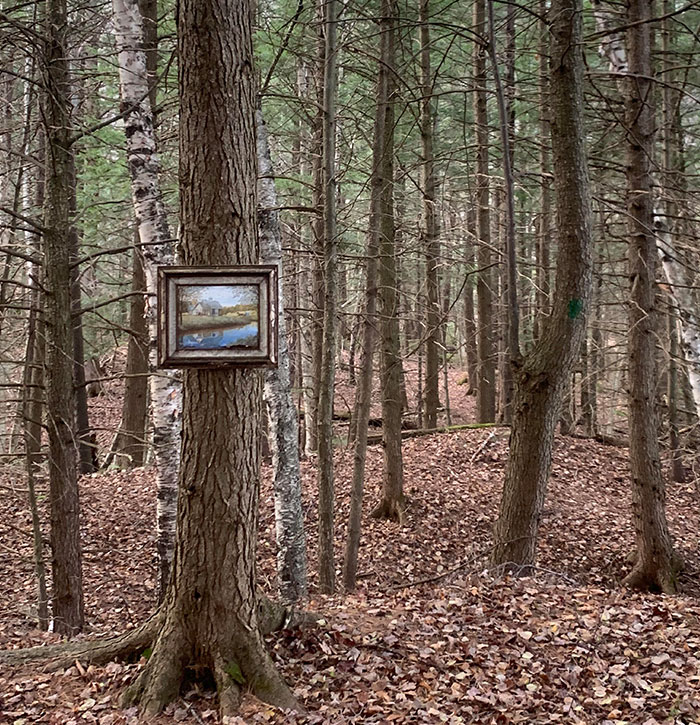 a trouvé une peinture aléatoire au milieu des bois