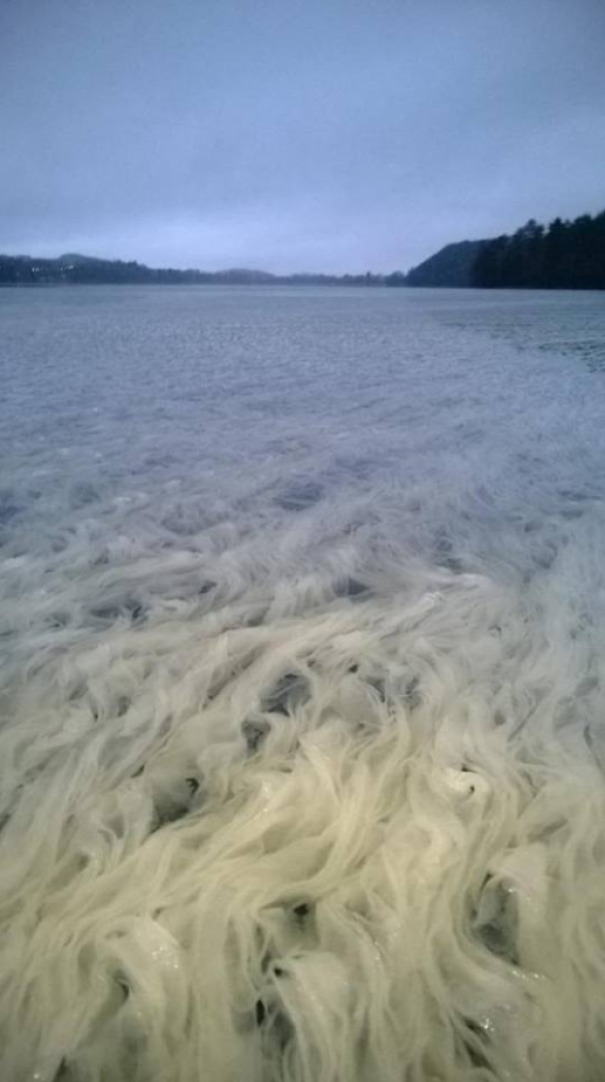 Voici ce qui arrive quand la neige ne fond pas sous l’eau en Finlande, par vesa kaloinen.