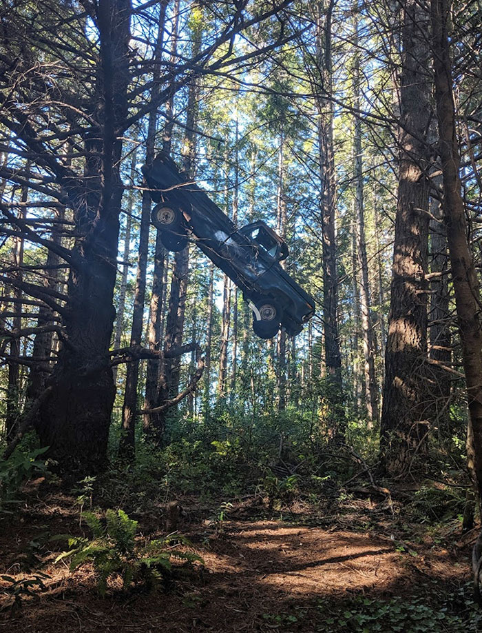 Je n’ai pas de bonne explication pour cela. On l’a trouvé à trois heures dans une forêt profonde, à 20 pieds dans les airs, et empalé sur un arbre. À des heures des routes principales.