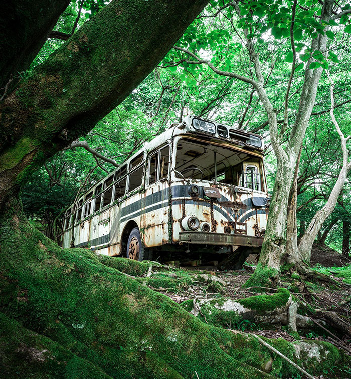 bus endormi dans une forêt japonaise