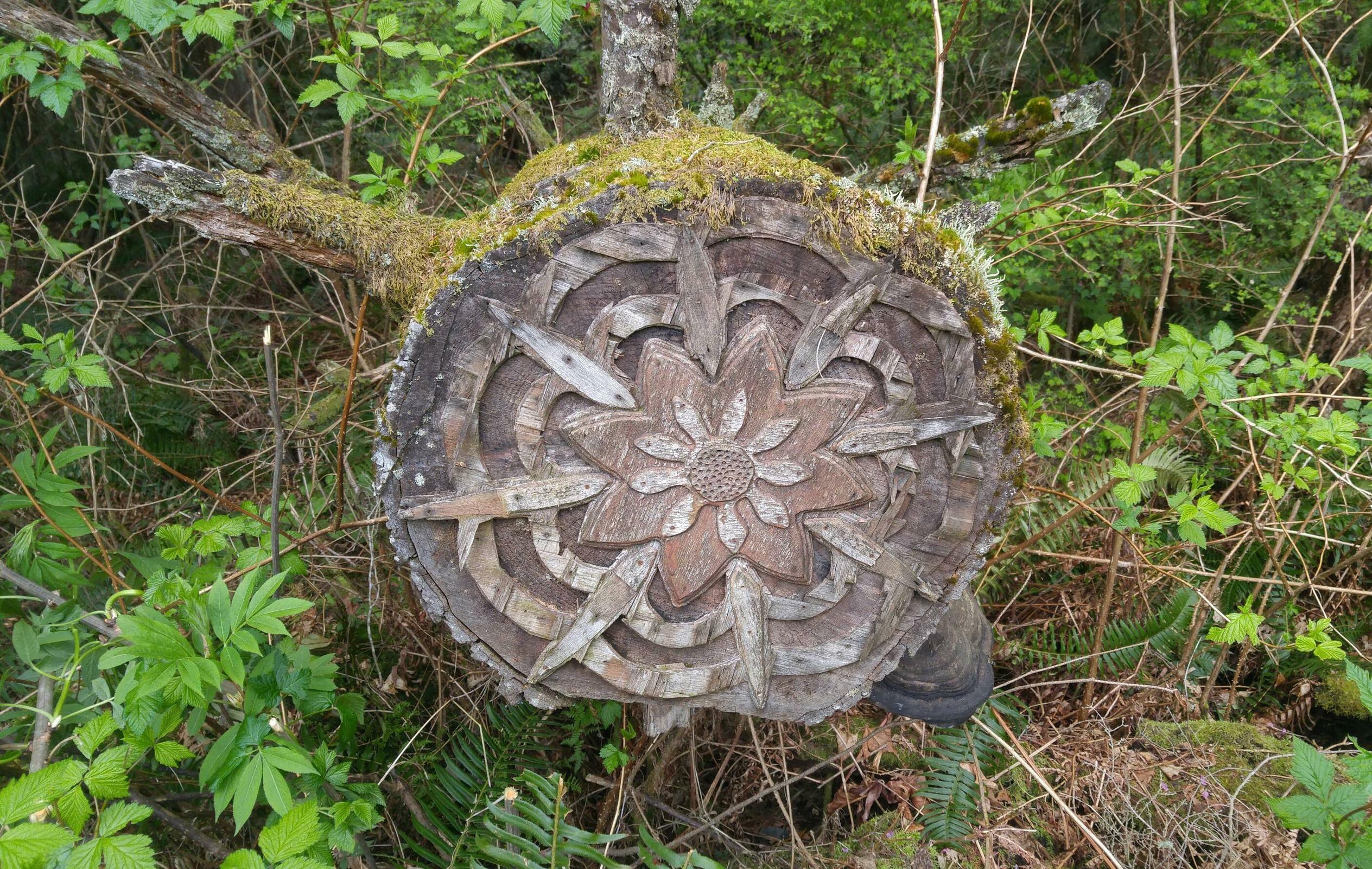 sortie pour une promenade, trouvée au milieu d’une forêt