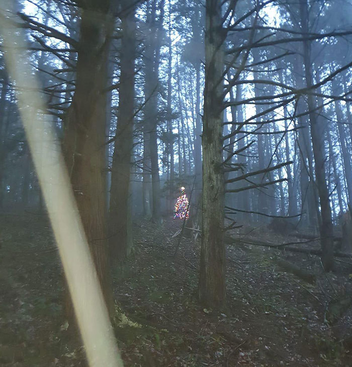 un petit arbre de noël effrayant entièrement décoré au milieu des bois. alimenté par ce qui ressemble à des mini panneaux solaires.