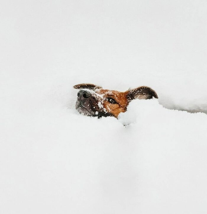 Nous avons eu 28 pouces de neige à New York la semaine dernière, il était déterminé à jouer malgré tout.