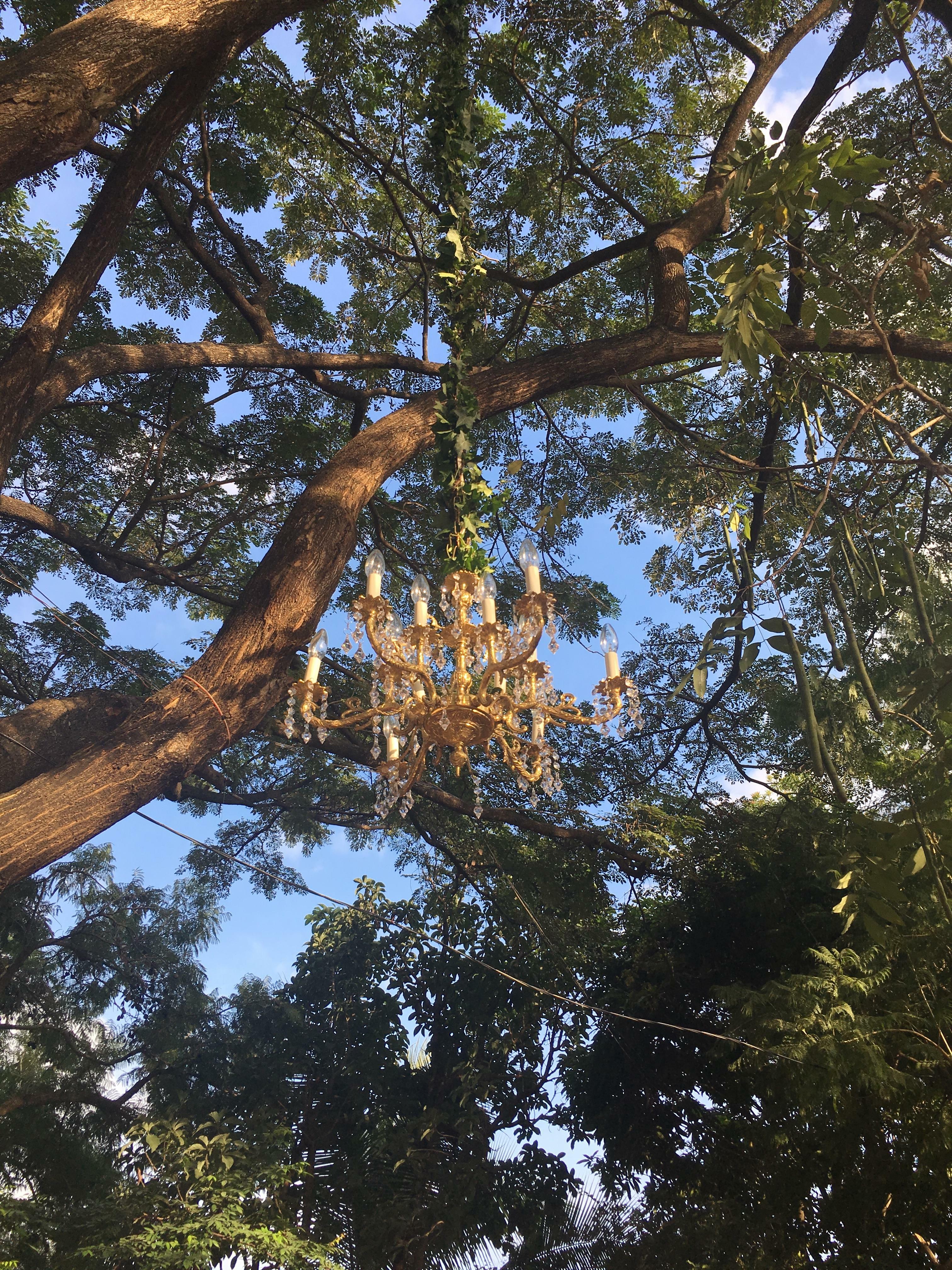 ce lustre aléatoire laissé suspendu dans la forêt