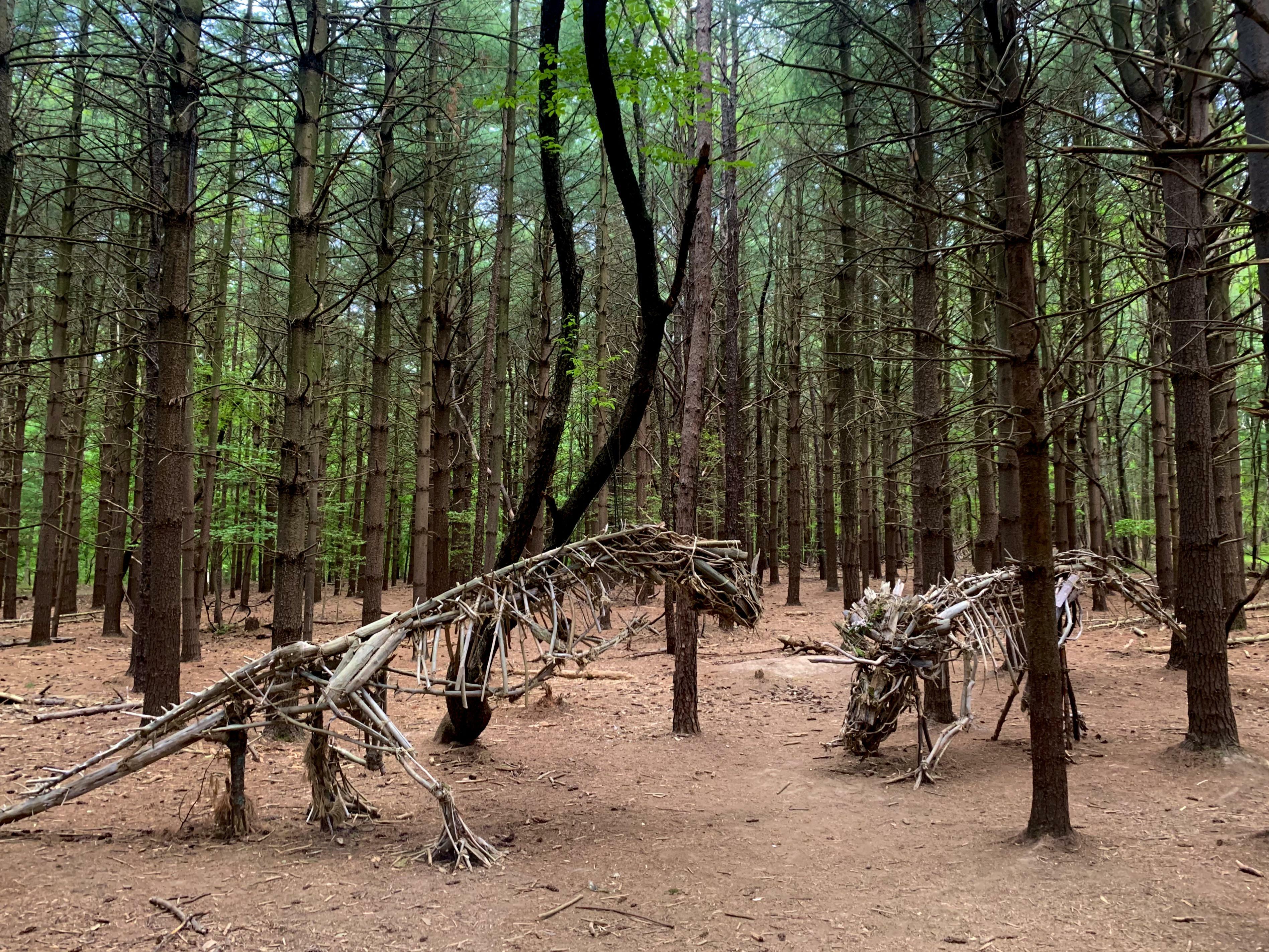 est tombé sur des dinosaures dans les bois