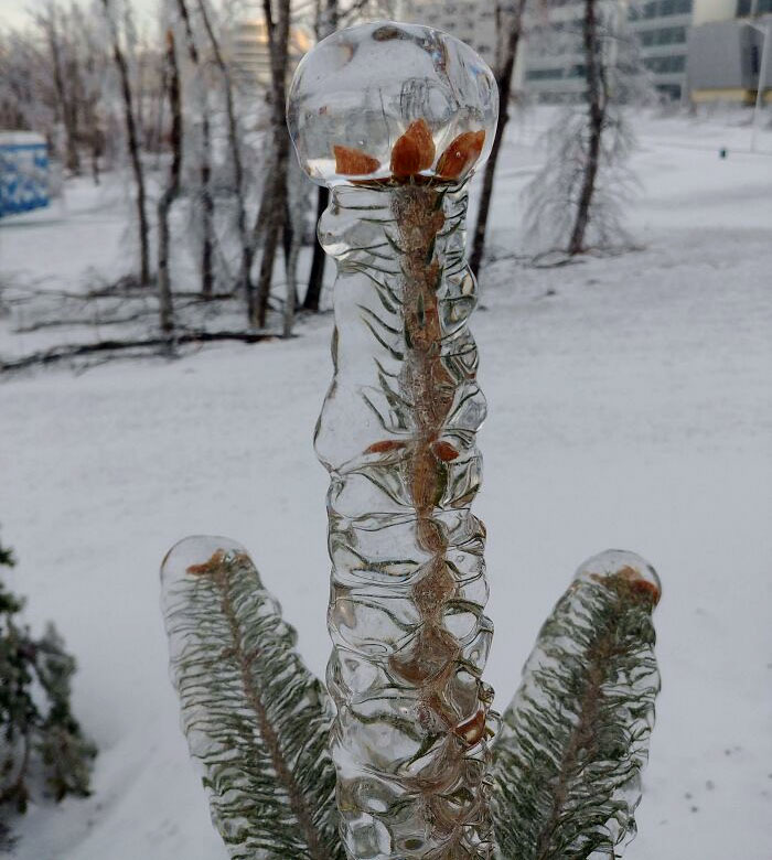 le gel total de la nature dans la ville de vladivostok, russie